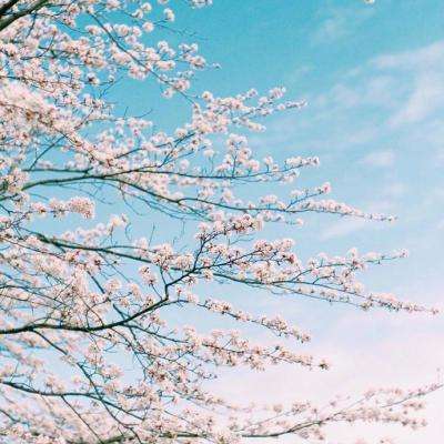 metatrader4官网下载